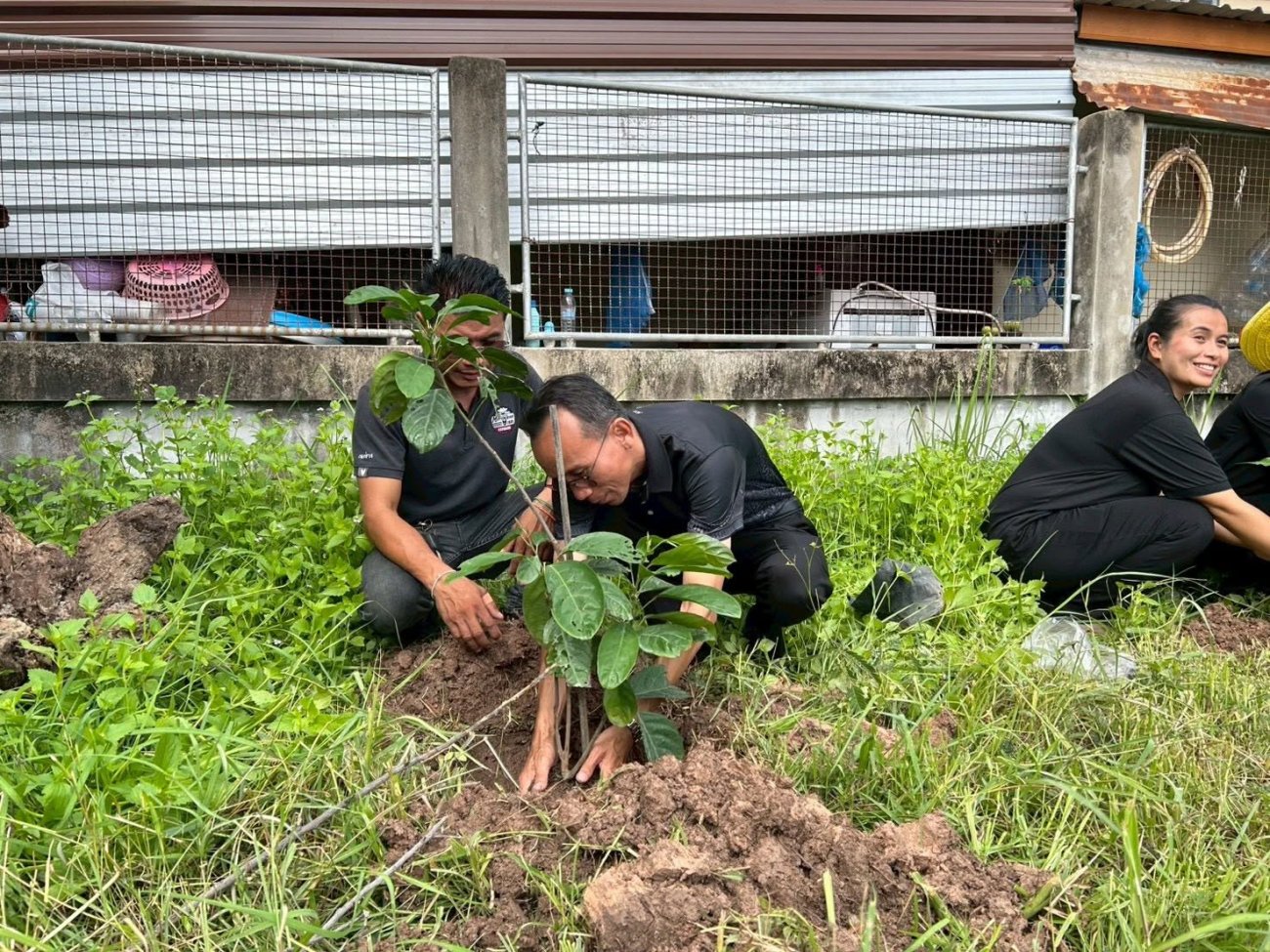 เมื่อวันศุกร์ที่ 5 มิถุนายน 2569 องค์การบริหารส่วนตำบลคูบได้จัดกิจกรรมวันต้นไม้ประจำปีของชาติ พ.ศ.2569 นำโดยนายสมุย ไกรษี นายกอบต.คูบ พร้อมด้วยคณะผู้บริหาร หัวหน้าส่วนราชการ พนักงานส่วนตำบล และพนักงานอบต.คูบ ร่วมกันปลูกต้นไม้บริเวณองค์การบริหารส่วนตำบลคูบ