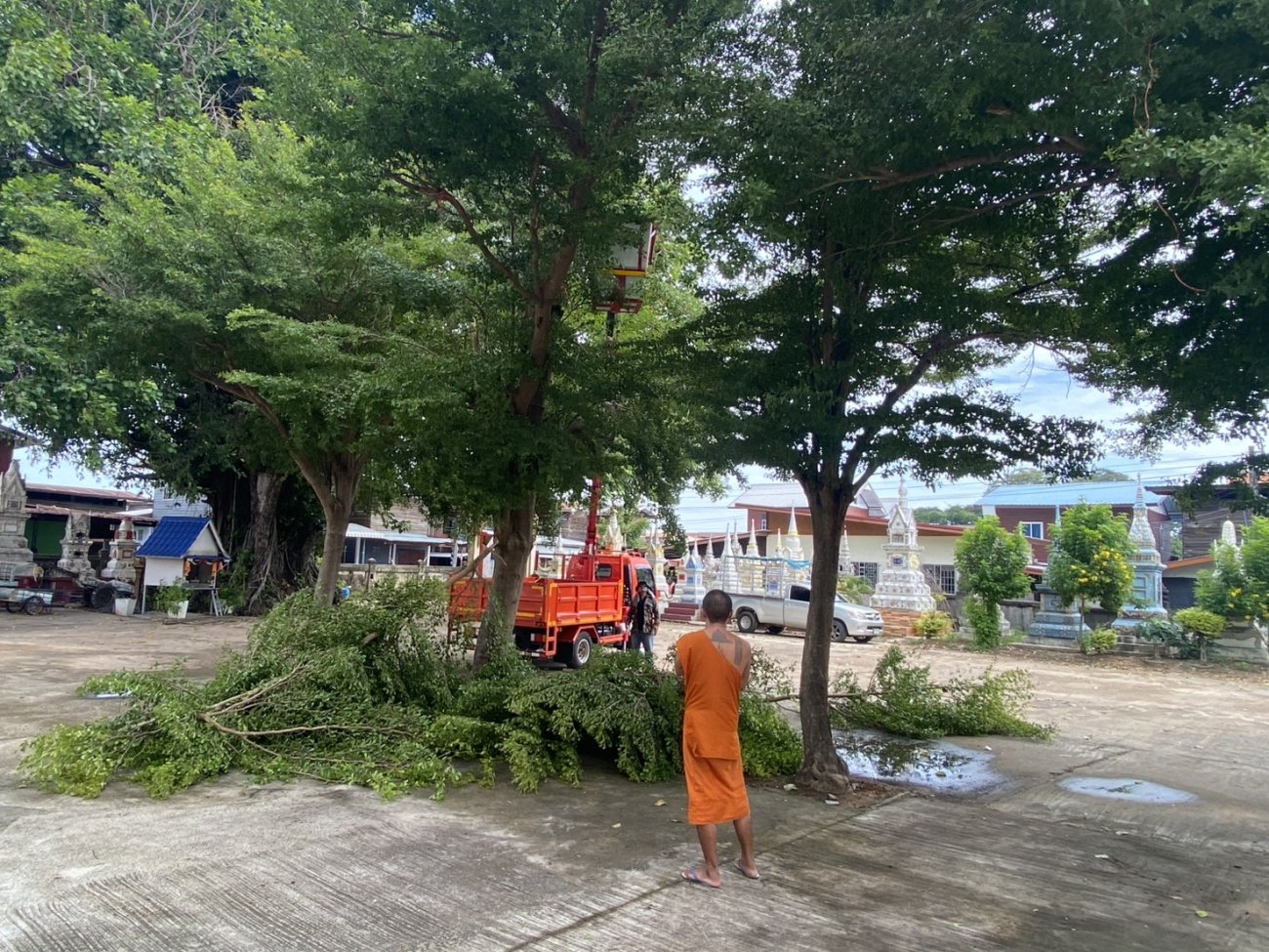 เมื่อวันพฤหัสบดี ที่ 9 กรกฎาคม 2569 ตามที่งานป้องกันฯ ได้รับหนังสือขอความอนุเคราะห์ตัดแต่งกิ่งต้นไม้ ในบริเวณวัดบ้านคูบ นายสมุย ไกรษี นายกองค์การบริหารส่วนตำบลคูบ นายประวิทย์ บุญศักดิ์ ปลัดองค์การบริหารส่วนตำบลคูบ ได้มอบหมายให้งานป้องกันฯ ลงพื้นที่ทำการตัดแต่งต้นไม้ ณ วัดบ้านคูบ หมู่ที่ 3 ต.คูบ อ.น้ำเกลี้ยง จ.ศรีสะเกษ